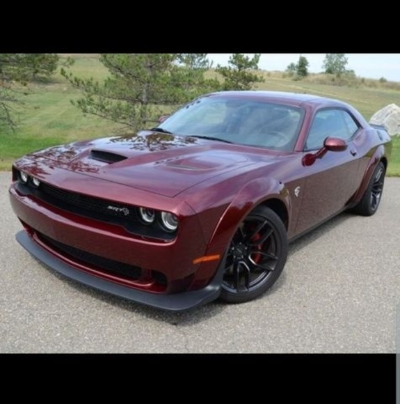 Meet your Posher, Liam - Picture 1 of 1